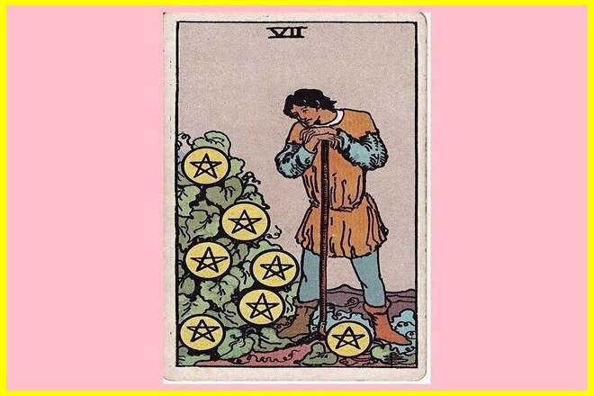 Seven of Pentacles Feelings Upright and Reversed